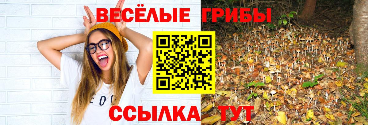 Псилоцибиновые грибы Magic Shrooms  Вход с VPN  Россошь 