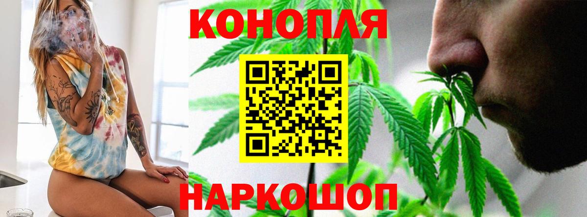 Канабис план  Вход с VPN  Марихуана сатива  Россошь 